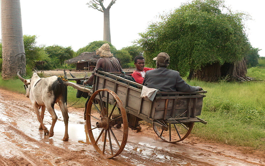 Sakalava People