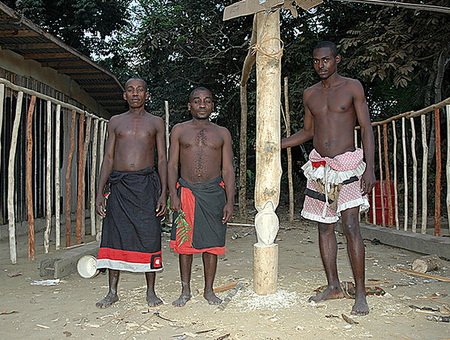 Babongo pygmies