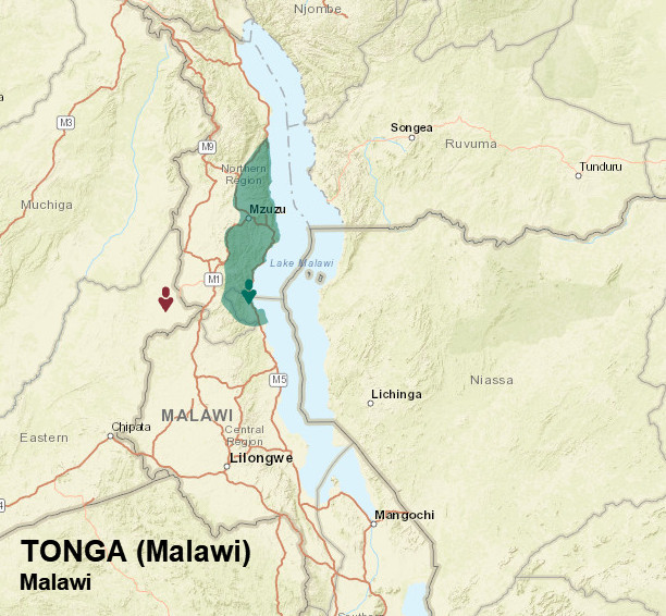 Tonga Malawi People